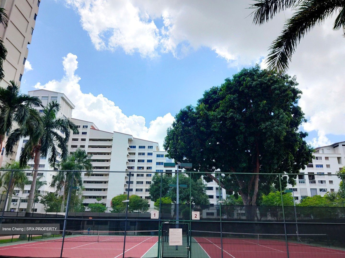 Windy Heights (D14), Condominium #555633241